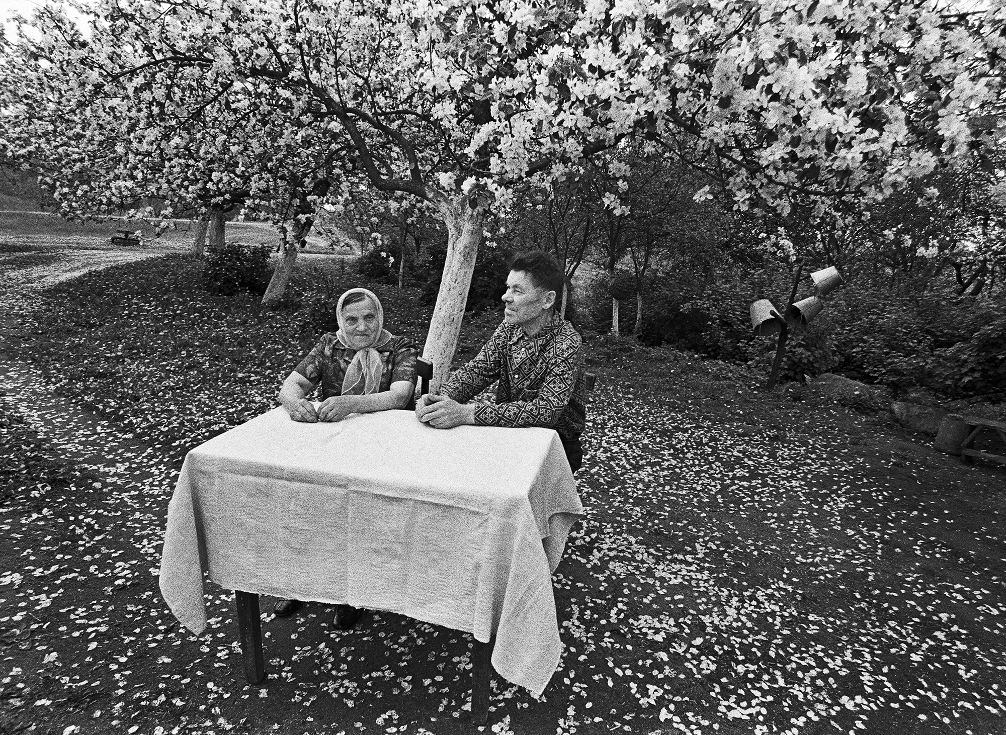 Старые советские фото. Ромуальдас Ракаускас. Литовский фотограф Ромуальдас Ракаускас. Ромуальдас Ракаускас цветение. Литовский фотограф Ромуальдас Ракаускас цветение.